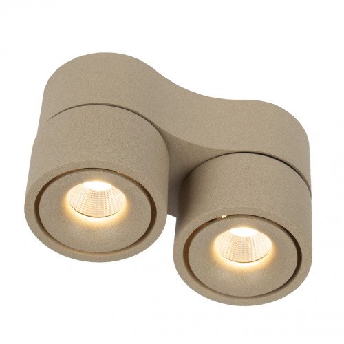 Richtbare opbouwspot Ole 2 champagne led