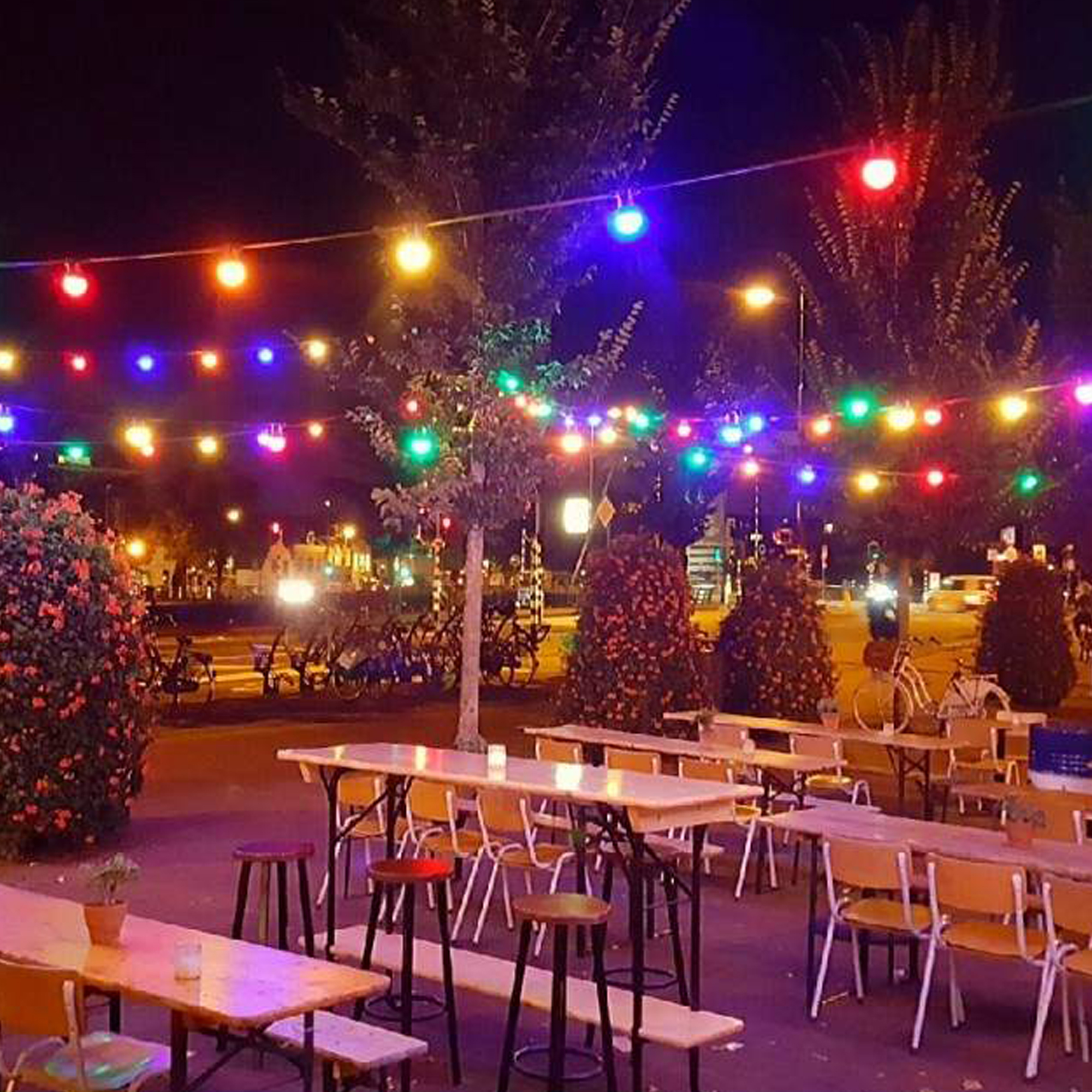 Patio Lichtsnoer kleur 40m met 48 LED